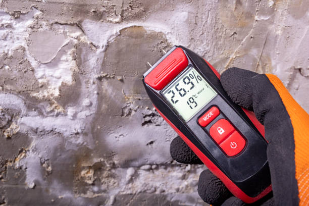 Best Toxic Mold Removal  in Leakesville, MS