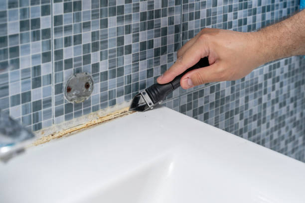Best Certified Mold Removal  in Leakesville, MS