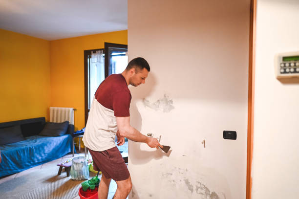 Mold Removal and Inspection in Leakesville, MS