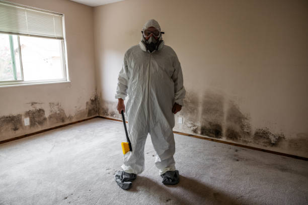 Best Emergency Mold Removal  in Leakesville, MS